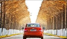 一起上路_1000字