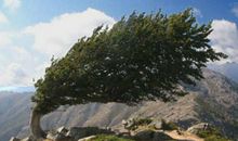 生命的风景_700字