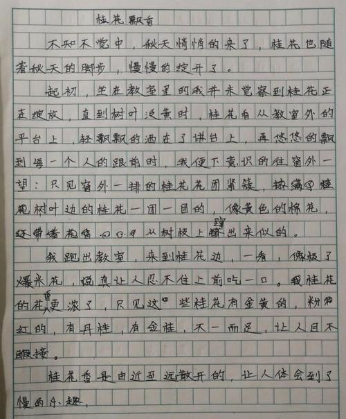 高中试验组成：坚持不懈_800字