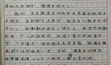 高三期中考试作文：坚持不懈_800字