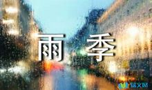 我的雨季_800字
