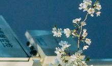 阳光温暖你我_800字