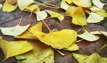 阴气渐长，莫要坐等秋凉_800字