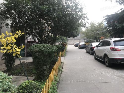 我不知道它是什么,我真的不知道如何面对你,面对你。