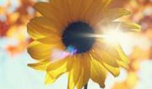 一位永远能留在人们心中的女孩_750字