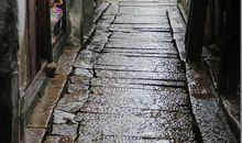 风居住的街道_1200字