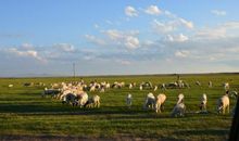 隔水毡乡，落日牛羊下，区脱纵横。