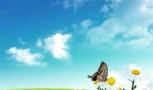 人生的酸甜苦辣_800字