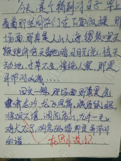 论文（一个）_300字
