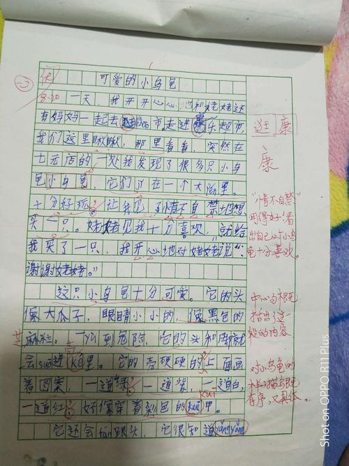 初级修剪成分：小乌龟-_750字