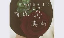 遇到你，真好_800字