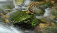 这样的画面，让我流连_800字