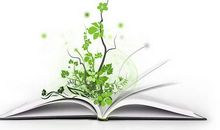 感悟校园_1000字