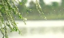 飞絮的时节过去了(1)_450字