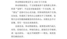 我（二）_1000字