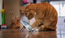 新技能Get_1200字