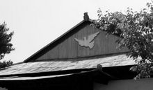 班上流行“三八线”_900字