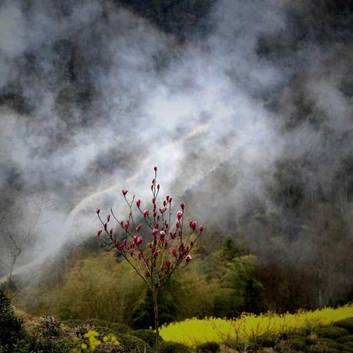 出乎意料的是，皇帝的病情突然严重;它没想到它，大使馆同意强迫我按下我。