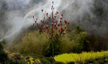 石潭寻梦_1000字