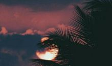 天亮以后_1500字