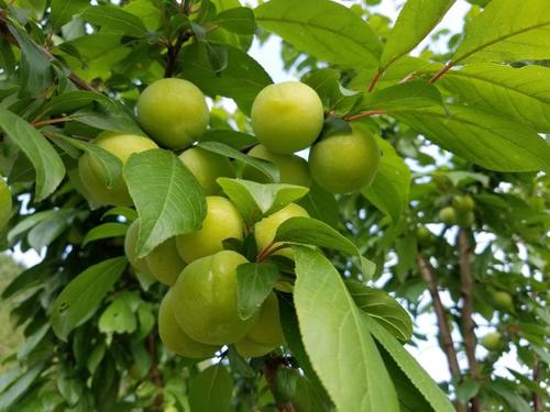 那种味道，温暖_900字