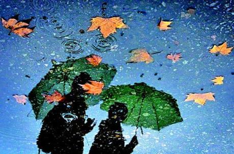 雨停了，你和我带着一边去彩虹，我回家了，只是这条路，不再冰冷，但温暖，温暖。在几天后，我们已经成为一个没有任何谈话的好朋友，并且已经开始彼此的心......