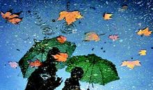 难忘那一场雨_450字