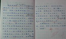 他们都到哪去了_650字