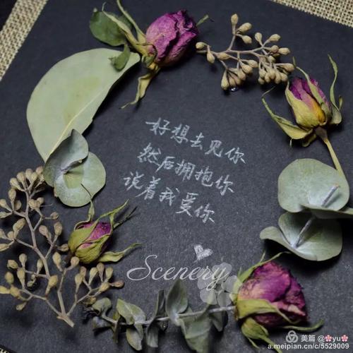 走过一年，知道如何爱_650字