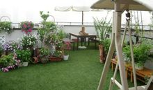 绿色的梦想_750字