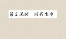 对生命的思考_800字