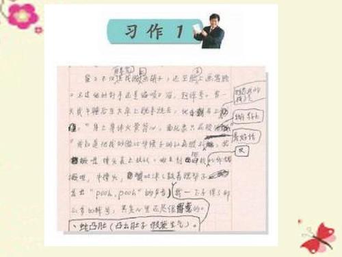 我心中的阳光_750字
