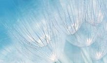 有一种美丽叫平凡_700字