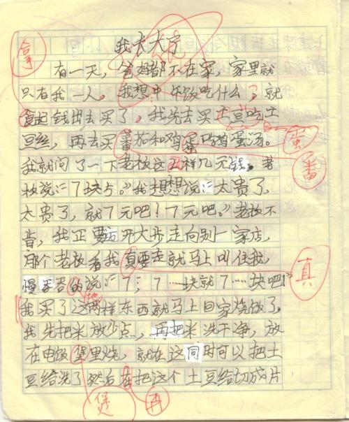 =新年的乐趣_800字