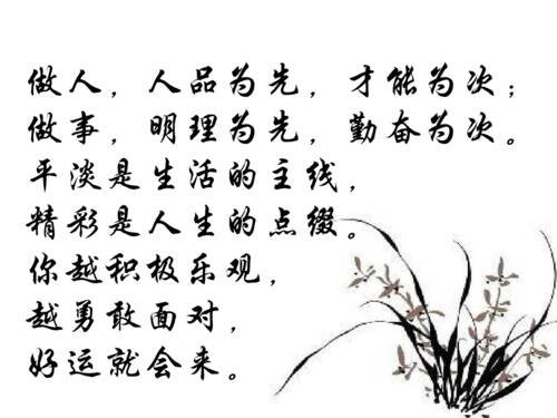 乐观的面部生活_600字