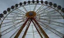 开心的星期天_550字