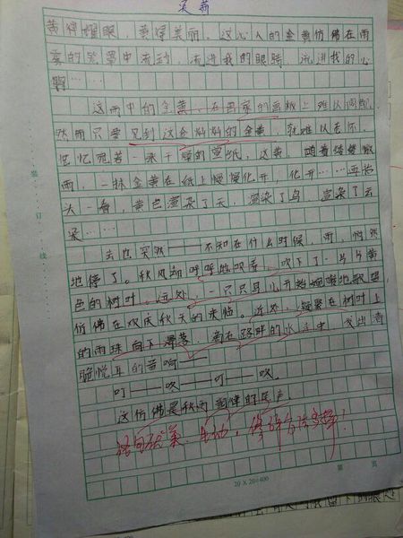 高写下观：秋季收获（2）_1200字