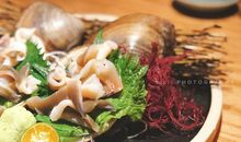 关于尾勺长袭_900字