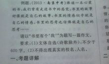 歌曲对我的魅力_400字