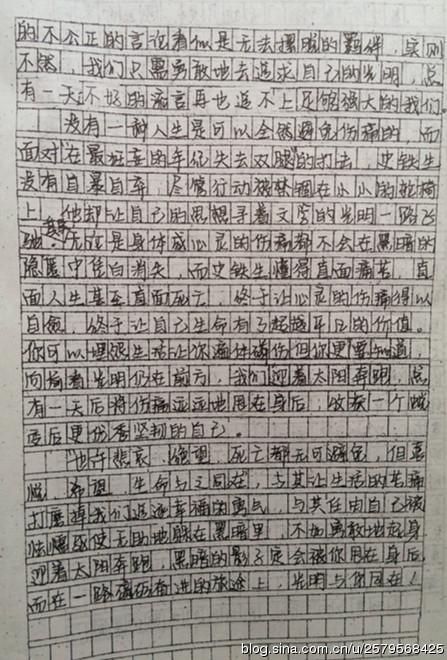 初级三作响：父亲_800字