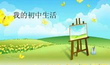 我的初三生活_200字