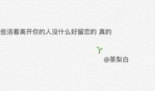 留在我记忆里的土地_700字