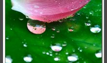 无助的雨滴_800字