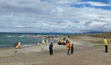 风景在路上_600字