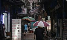 消逝中的记忆_900字