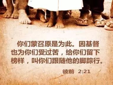 不能容易幸福 - 阅读“灯”_500字