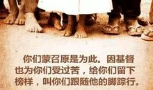 来之不易的幸福——读《灯光》有感_500字