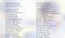 剩下的盛夏_1000字
