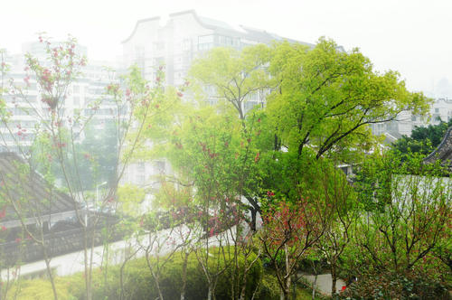 桃园桃园春义。