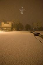 这确实是一个大雪。